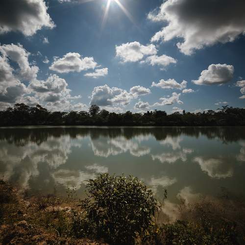 Photo #13302505