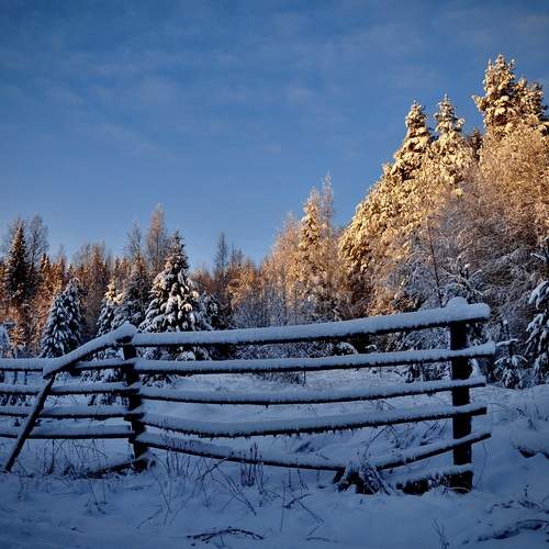 Photo #13302511