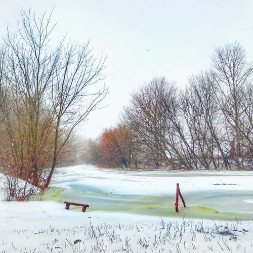 Фотография #13302556