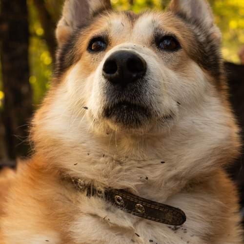 Photo #13302602