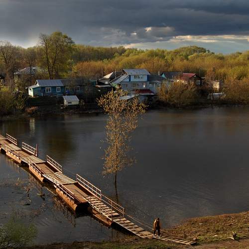 Photo #13302658