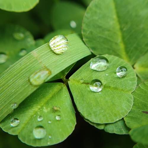 Photo #13302677