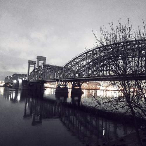 Photo #13302712