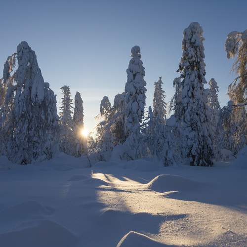 Photo #13302740