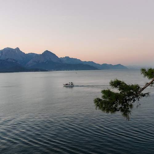 Photo #13302780