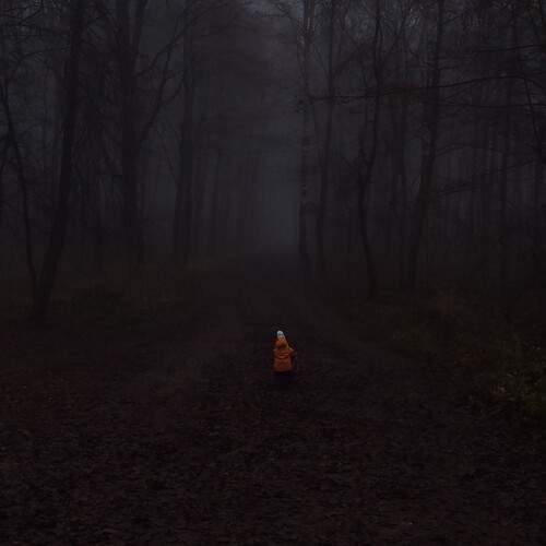 Photo #13302794