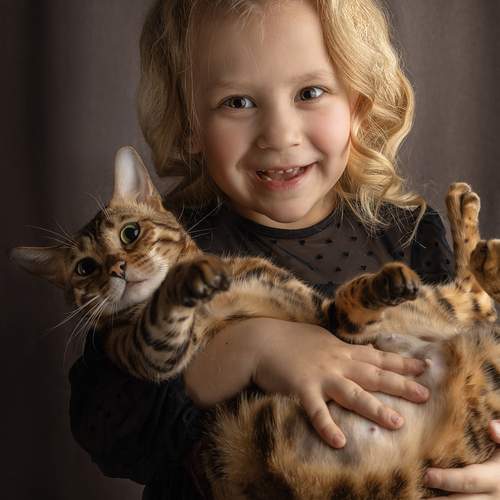Photo #13302822