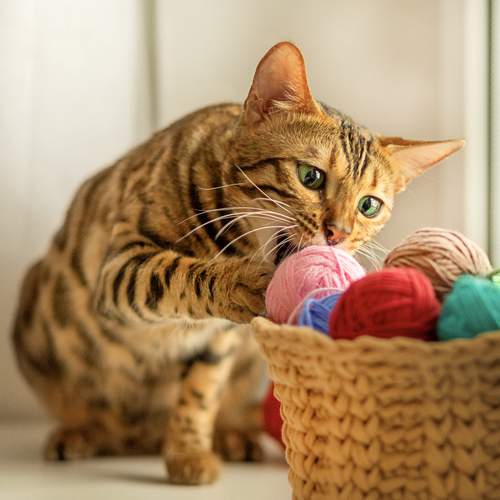 Photo #13302917