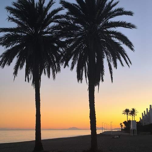 Photo #13302990