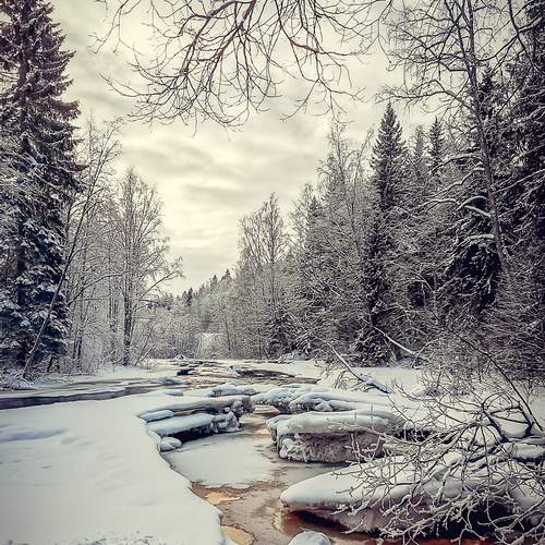 Photo #13303204