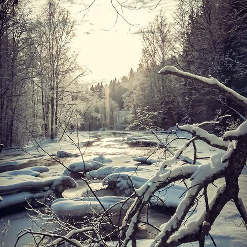 Photo #13303205