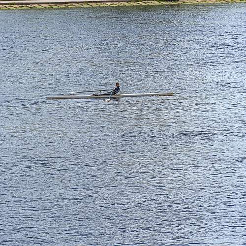 Photo #13303229