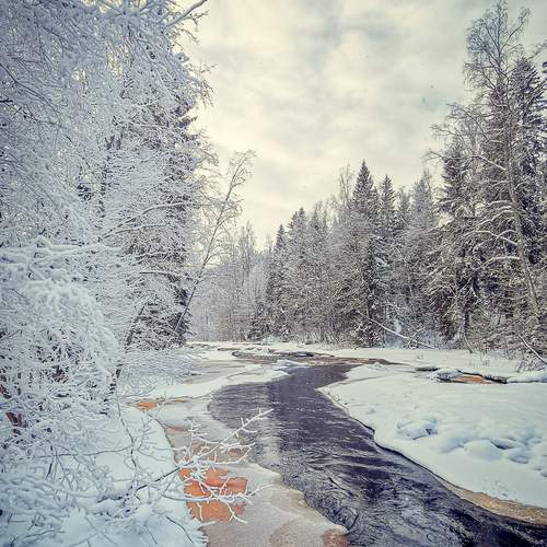 Photo #13303238