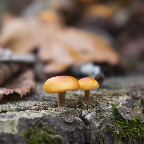 Photo #13303281
