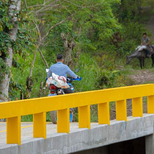 Photo #13303333
