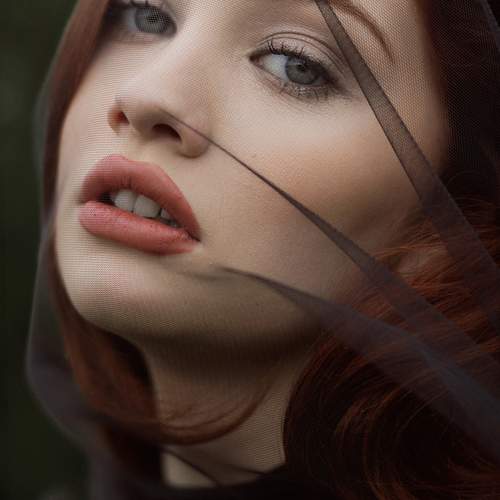 Photo #13303408