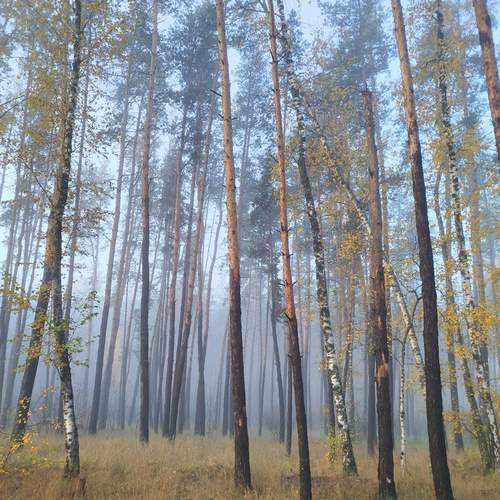 Photo #13303518