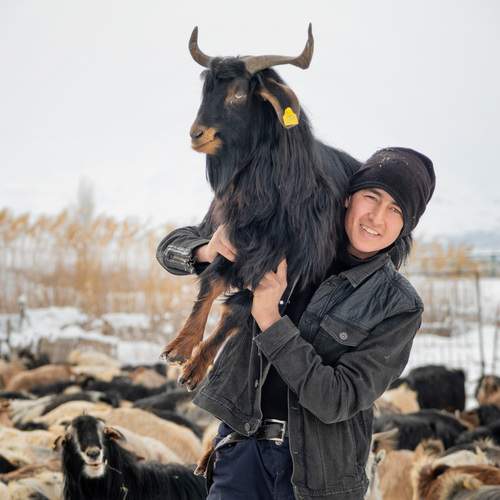 Фотография #13303541