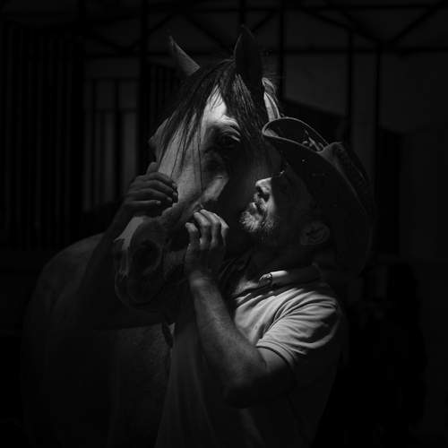 Фотография #13303552