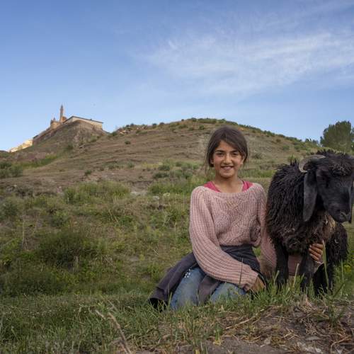 Фотография #13303584