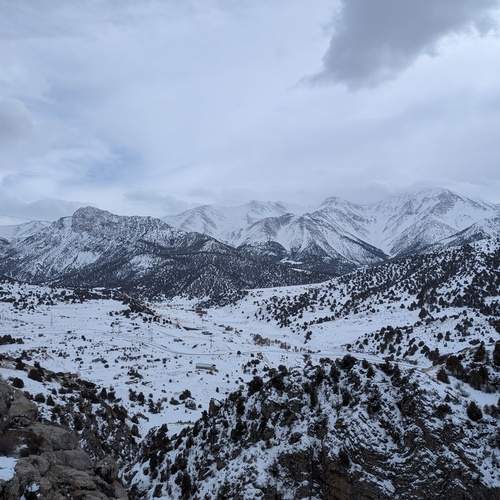 Photo #13303608