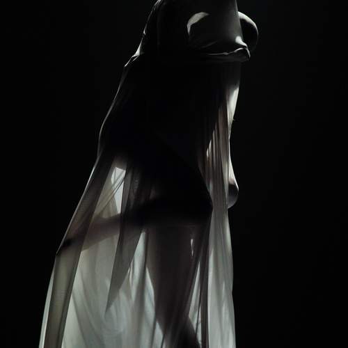 Photo #13303714