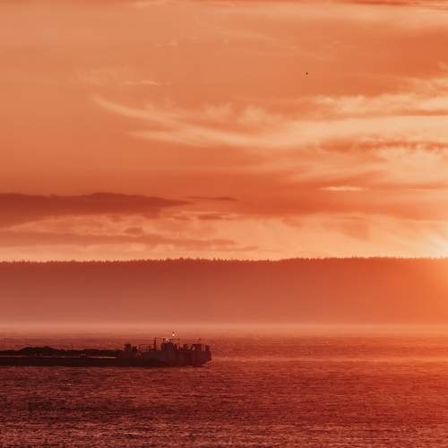 Фотография #13303776