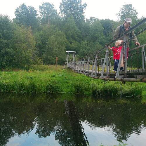Photo #13303797