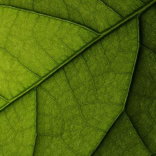 Photo #13303858
