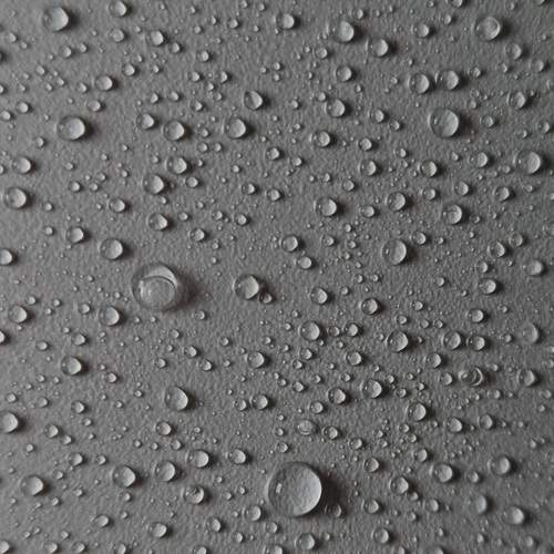Photo #13303860