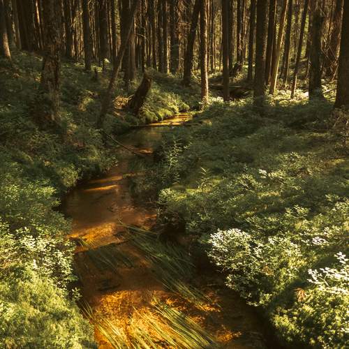 Photo #13303866
