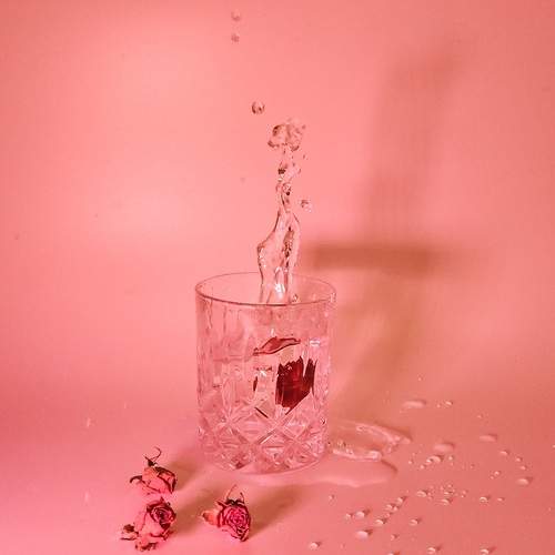 Photo #13303880