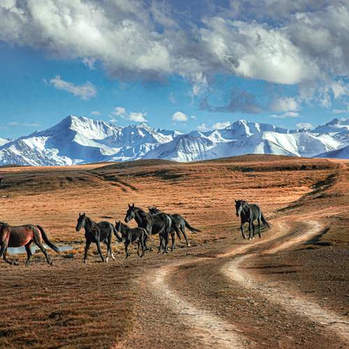 Фотография #13303917