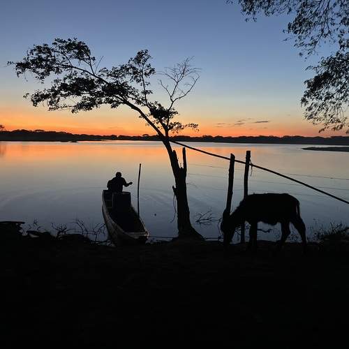Photo #13303924