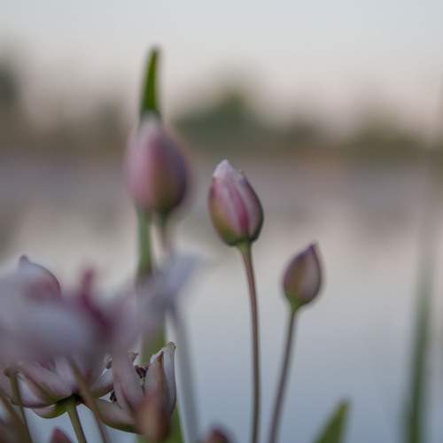 Photo #13303927
