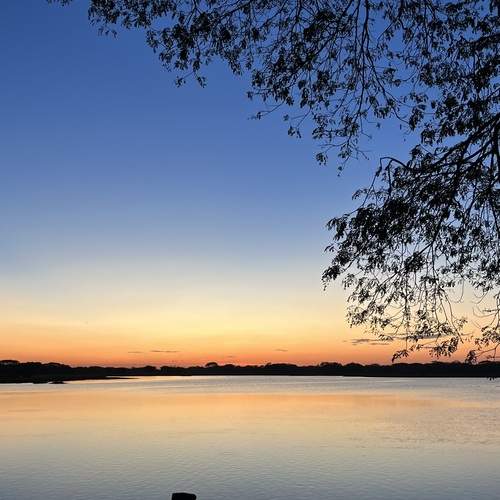 Photo #13303929