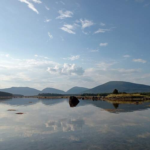 Photo #13303961