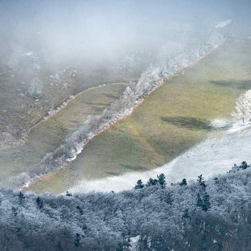 Photo #13304077