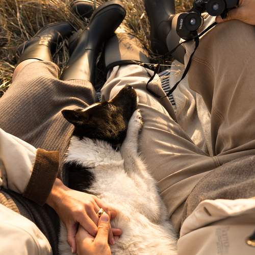 Photo #13304242