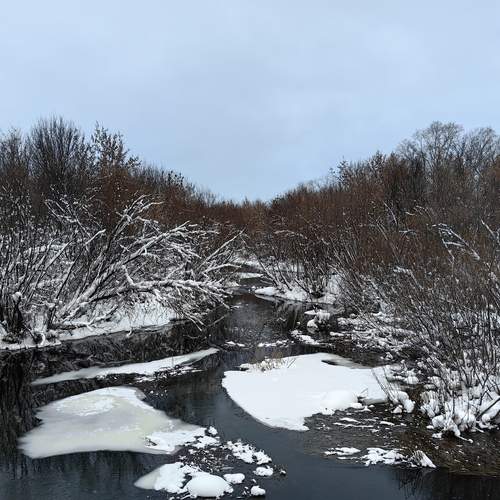 Photo #13304296