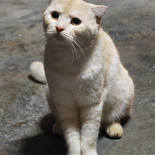 Photo #13304332