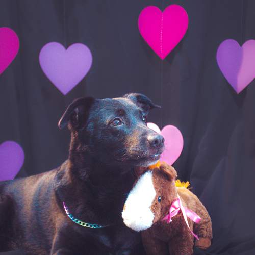 Photo #13304503
