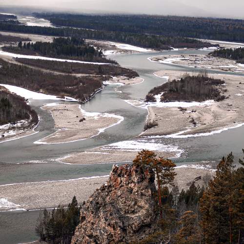 Photo #13304733