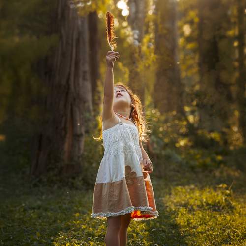 Photo #13304736