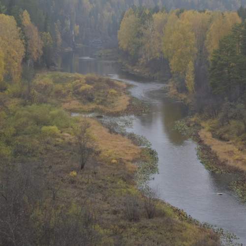 Photo #13304787