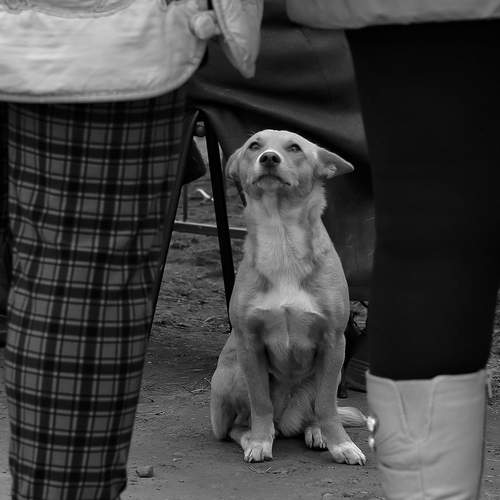 Photo #13304871