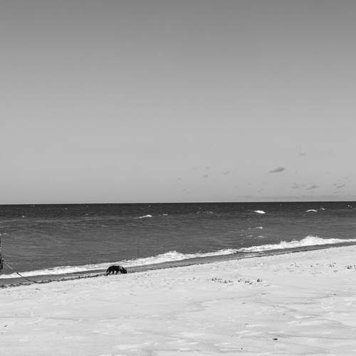 Photo #13304908
