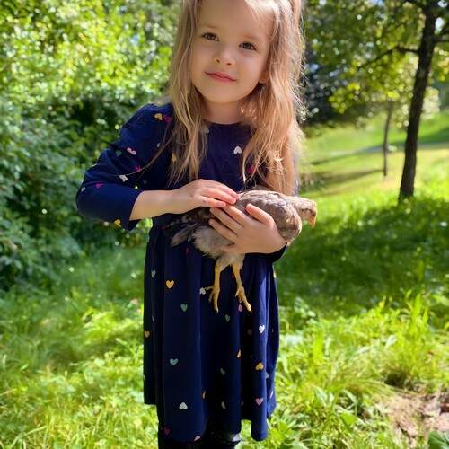 Innocence in two