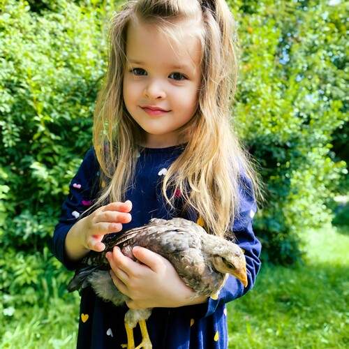 Pure Innocence
