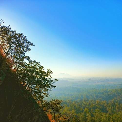 Photo #13305206